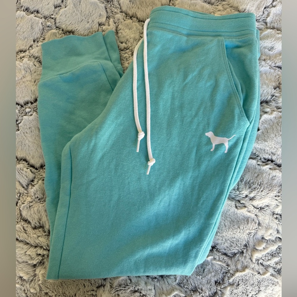 NWT Victoria’s Secret PINK teal Skinny Jogger sweatpants size LARGE